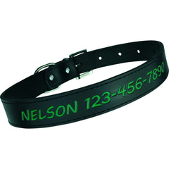 Personalized Dog Collar