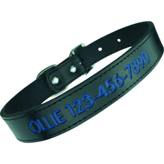 Personalized Dog Collar