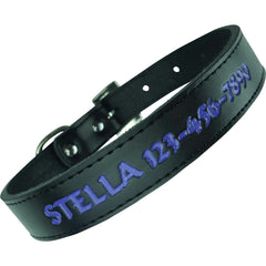 Personalized Dog Collar