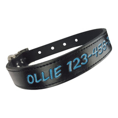 Personalized Dog Collar