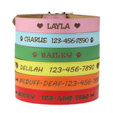 Personalized Dog Collar - Engraved Soft Leather