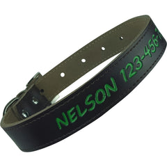 Personalized Dog Collar