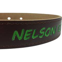 Personalized Dog Collar