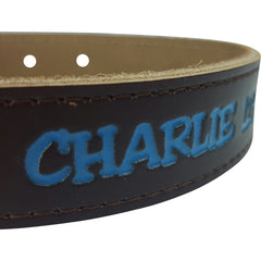 Personalized Dog Collar
