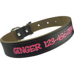 Personalized Dog Collar
