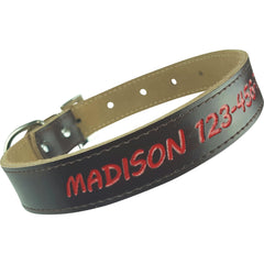 Personalized Dog Collar