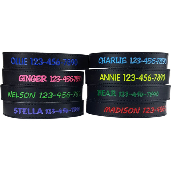 Personalized Dog Collar