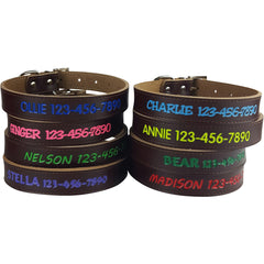 Personalized Dog Collar