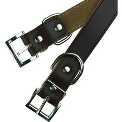 Personalized Dog Collar