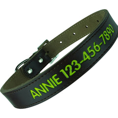Personalized Dog Collar