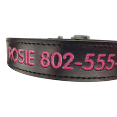 Personalized Dog Collar