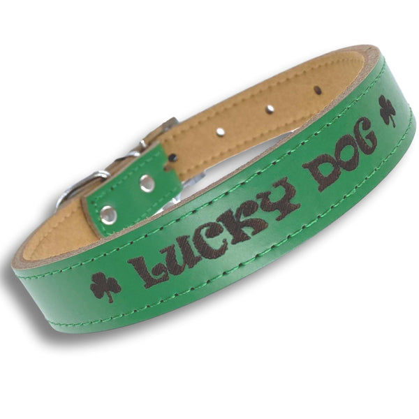 Shamrock Personalized Dog Collar